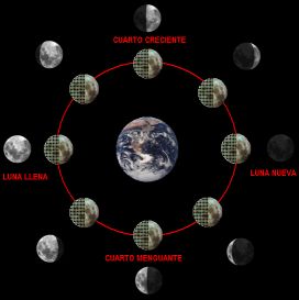 Fases luna